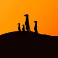 Vector illustration of a group of meerkats