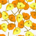 Vector illustration of a group of orange poppy flowers isolated on a white background. Seamless pattern