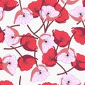 Vector illustration of a group of pink poppy flowers isolated on a white background. Seamless pattern