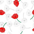 Vector illustration of a group of red poppy flowers isolated on a white background. Seamless pattern Royalty Free Stock Photo
