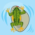 Reptile amphibious frog in water type overhand