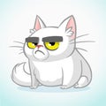 Vector illustration of grumpy white cat. Cute fat cartoon cat
