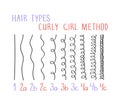 Hair types with all curl types labeled from 1 to 4c. Curly girl method (CGM) concept