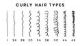 Vector illustration of hair types chart with all curl types, labeled. Curly girl method concept. From 1 to 4B. Royalty Free Stock Photo