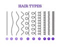 Vector Illustration of a Hair Types chart displaying all types and labeled. Royalty Free Stock Photo