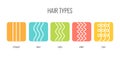 Vector Illustration of a Hair Types chart displaying all types and labeled. Royalty Free Stock Photo