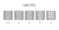 Vector Illustration of a Hair Types chart displaying all types and labeled. Royalty Free Stock Photo