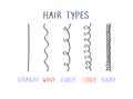 Hair types with curl types labeled. Curly girl method (CGM) concept Royalty Free Stock Photo