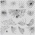 Vector illustration Halloween spider web isolated on transparent background. Hector venom cobweb set. Halloween monochrome spider Royalty Free Stock Photo