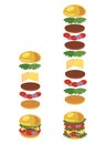 Vector illustration of a hamburger. Ingredients of burgers. The recipe for street food. Fast food. Cartoon style.