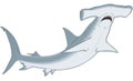 Hammerhead Shark Illustration