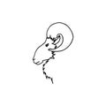 Vector illustration of hand drawing ram head in profile Royalty Free Stock Photo