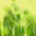 Vector illustration of hand drawing wheat ears Royalty Free Stock Photo