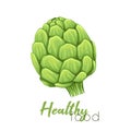 Vector illustration of hand drawn artichokes with lettering. Colorful sketch of head of cabbage healthy vegetables with hatching