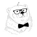 Vector illustration hand drawn bear head.