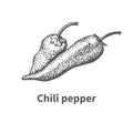 Vector illustration hand-drawn chili pepper Royalty Free Stock Photo