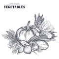 Vector illustration of hand drawn vector farm vegetables in sketch style.