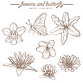 Hand Drawn Flowers And Butterfly - Vintage Style