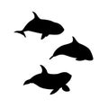 Vector illustration of hand drawn killer whale set silhouette. Animal orca family silhouette