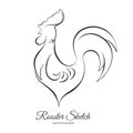 Vector illustration: Hand drawn line Rooster Cock. Sketch outline style.
