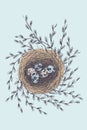 Vector illustration of hand drawn nest with spotted eggs and willow. Graphic style, beautiful illustration isolated on