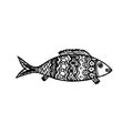 Vector illustration of hand drawn patterned cartoon fish. Coloring page book - zendala for relaxation