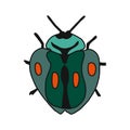 Vector illustration of a hand drawn rose chafer .Flat design. insect isolated on a white background. It is suitable for children s