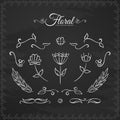 Hand drawn set of floral elements on chalkboard background. Sketch line design Royalty Free Stock Photo