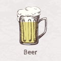 Vector illustration of hand drawn sketch of beer mug