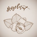 Vector illustration hand drawn sketch hazelnut Royalty Free Stock Photo