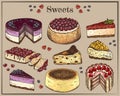 Vector illustration of hand drawn sketch set of colorful sweets. Tasty piece or slice of cake, dessert. Cheesecake with berries Royalty Free Stock Photo