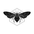 Vector illustration with hand drawn stylized bee and honeycomb element. Mystic wasp insect sign with geometric symbol. Royalty Free Stock Photo