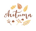 Vector illustration with hand lettering Autumn and decorative leaves.