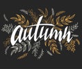 Vector illustration of hand lettering label - autumn - with doodle brunches and leaves