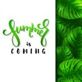 Vector illustration of hand lettering poster - summer is coming with paper sheet on a background monstera leaves