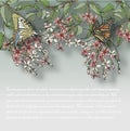 Vector illustration of hand painted flowers Rangoon creeper, colorful and butterfly background