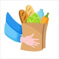 Vector illustration. Hands holding paper eco bag with grocery shopping. Healthy food in a bag, bread, lettuce, water and Royalty Free Stock Photo