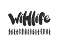 Vector illustration: Handwritten furry brush lettering of Wildlife with hand drawn pine forest