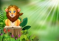 Happy cartoon lion sitting on tree stump with green plants Royalty Free Stock Photo