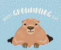 Vector illustration of happy groundhog day design with cute rodent Royalty Free Stock Photo