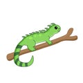 Vector Illustration of a Happy Iguana. Cute Cartoon Iguana Isolated on a White Background Royalty Free Stock Photo