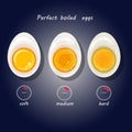 Vector illustration of hard-boiled eggs.