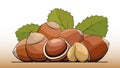 Vector illustration of hazelnuts on a line.