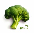 Meticulous Photorealistic Broccoli Vector On White Background