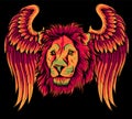 vector illustration of head Lion with Wings on black background Royalty Free Stock Photo