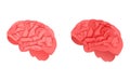 Vector illustration of a healthy and inflamed brain on a white background