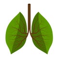 Vector illustration of healthy lungs consisting of green leaves