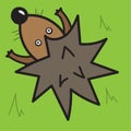 Vector illustration, hedgehog on a green background, top view