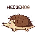 Vector illustration of hedgehog isolated on transparent background.