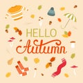 Vector illustration. Hello autumn lettering isolated on white background. Hand drawn lettering text. Royalty Free Stock Photo